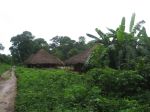 Photos of Bijagos Islands in Guinea Bissau : 