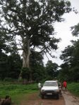 Photos de l'archipel des Bijagos en Guine Bissau : Paysages des Bijagos