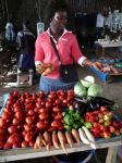 Photos of Bijagos Islands in Guinea Bissau : 