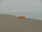 Photos of Bijagos Islands in Guinea Bissau : 