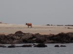 Photos of Bijagos Islands in Guinea Bissau : 