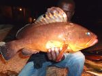 Photos of Bijagos Islands in Guinea Bissau : 