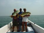 Photos of Bijagos Islands in Guinea Bissau : 