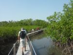 Photos de l'archipel des Bijagos en Guine Bissau : Paysages des Bijagos