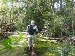 Photos of Bijagos Islands in Guinea Bissau : 