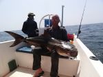 Photos de l'archipel des Bijagos en Guine Bissau : Cobia d'Alain