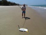 Photos de l'archipel des Bijagos en Guine Bissau : Requin gourmand