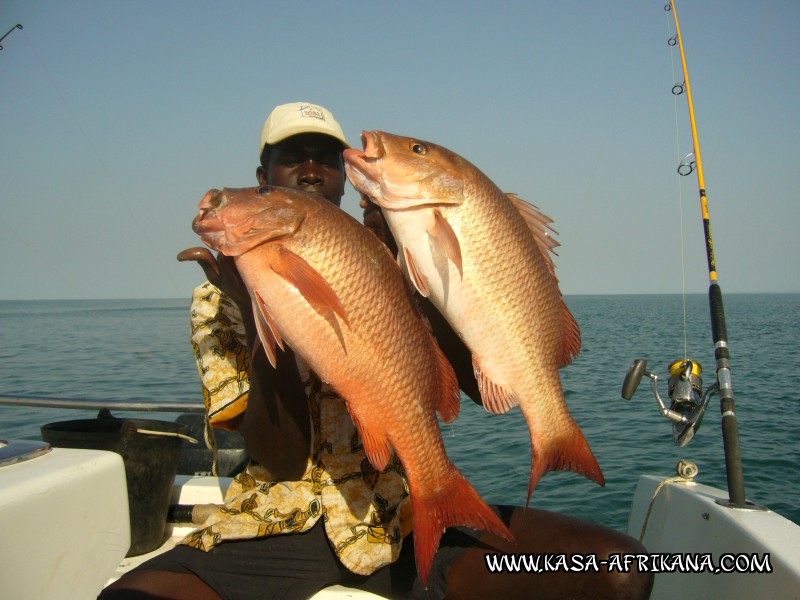 Photos de l'archipel Bijagos Guine Bissau : Nos plus belles prises - Double de carpe rouge