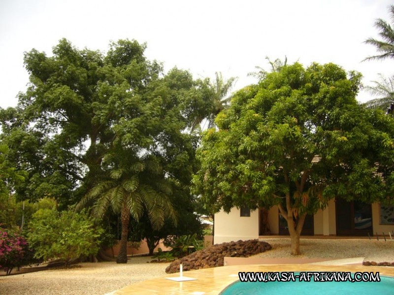 Photos de l'archipel Bijagos Guine Bissau : Jardin de l'hotel - Fromager et manguier
