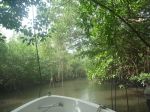 Photos de l'archipel des Bijagos en Guine Bissau : Mangrove